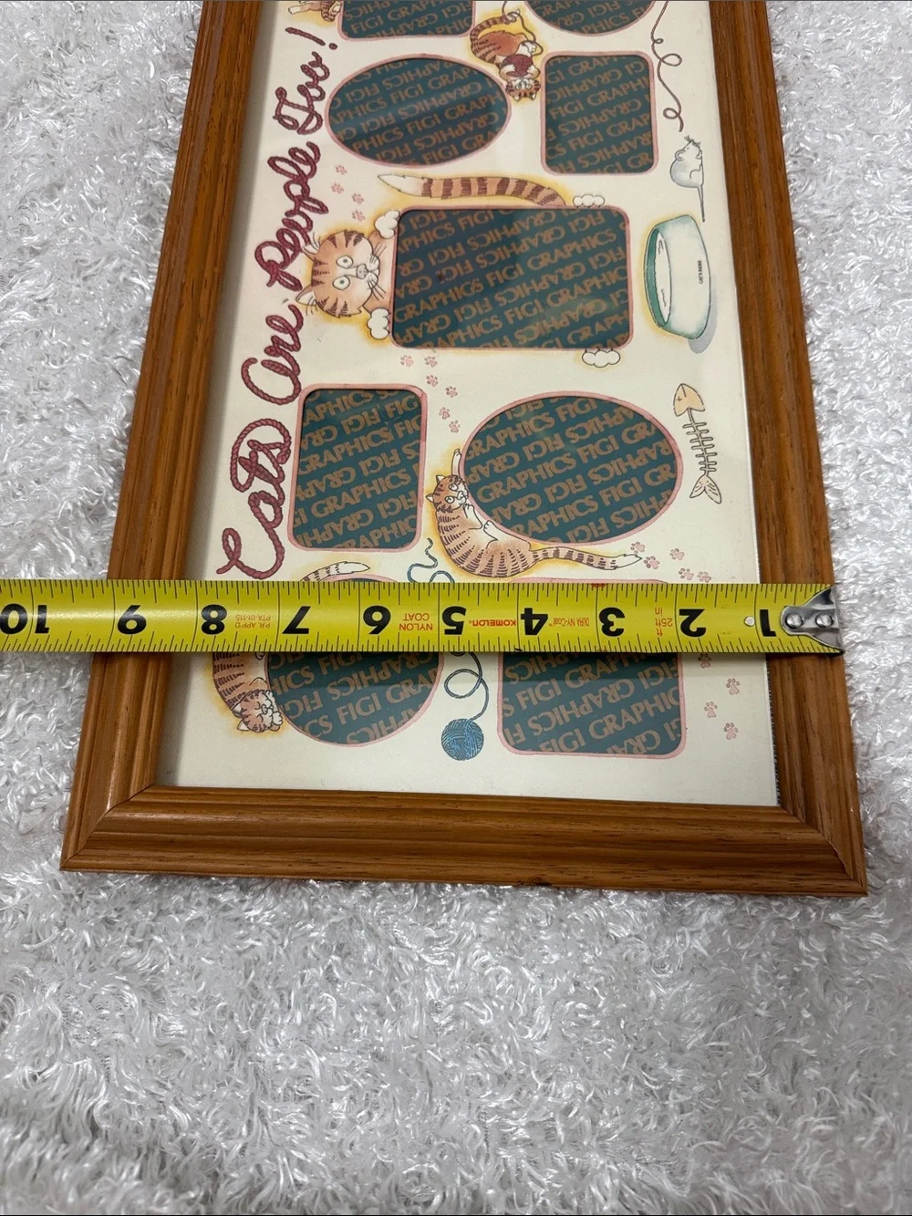 Framed picture holder for cats only!